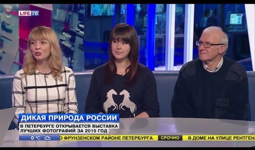 Публикации • Publications