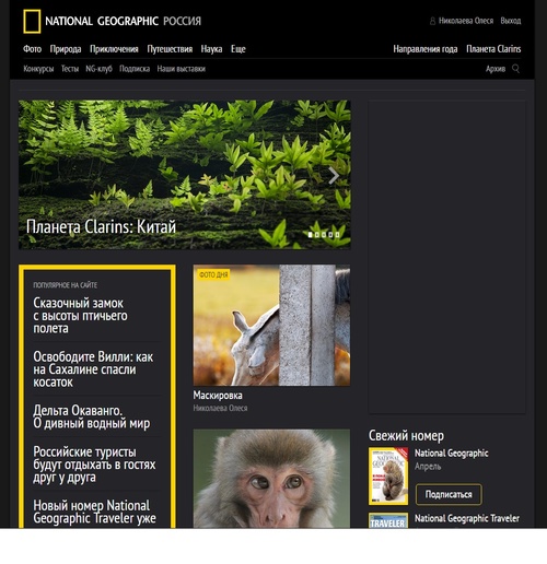 Публикации • Publications