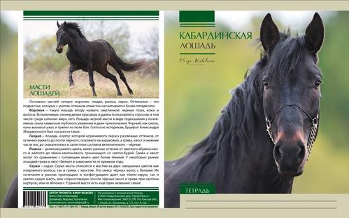 Публикации • Publications