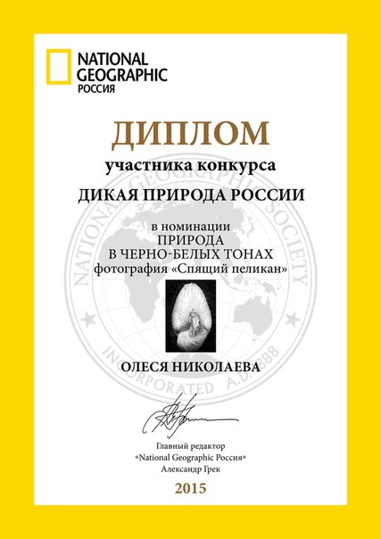 Публикации • Publications
