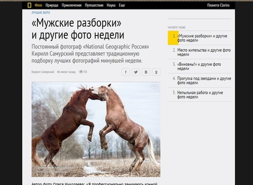 Публикации • Publications