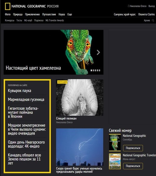 Публикации • Publications