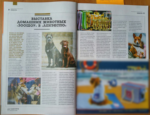 Публикации • Publications