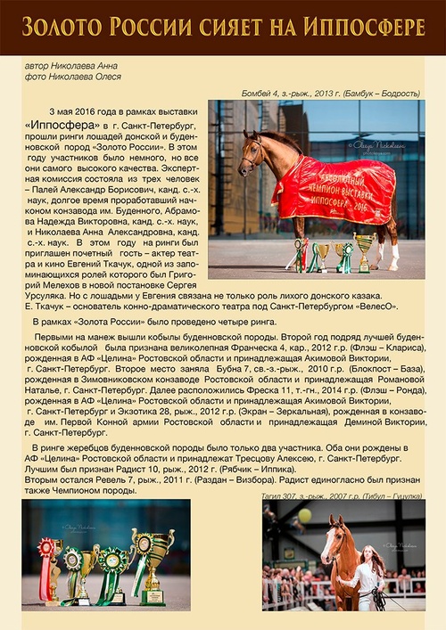 Публикации • Publications