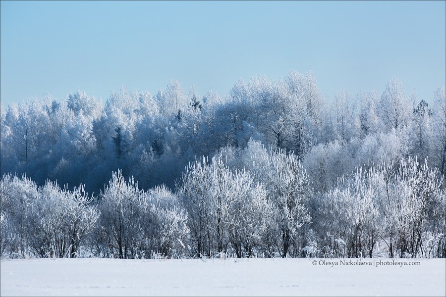 Пейзаж ◆ Landscape