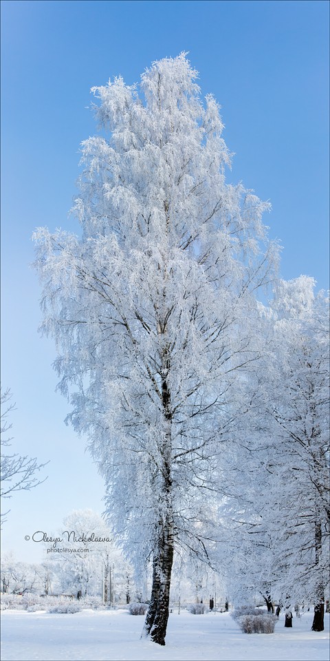 Пейзаж ◆ Landscape