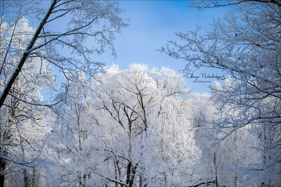 Пейзаж ◆ Landscape