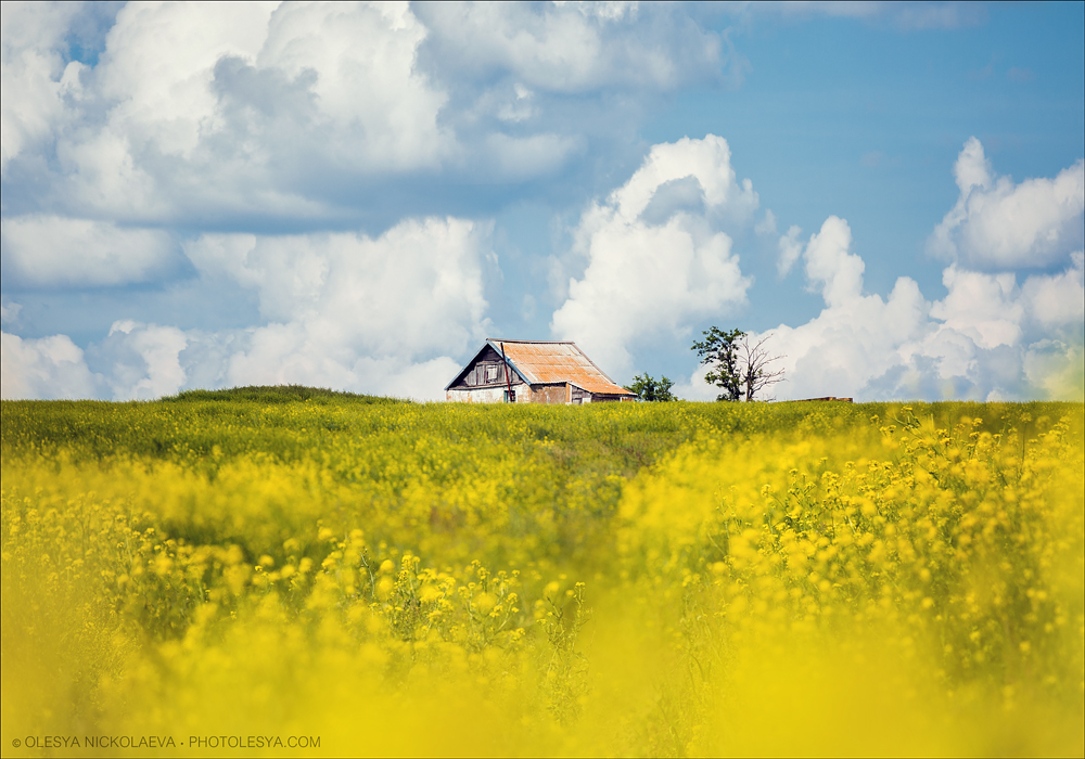 Пейзаж ◆ Landscape