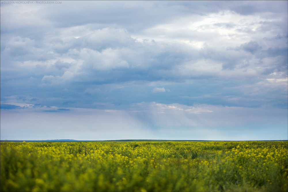 Пейзаж ◆ Landscape