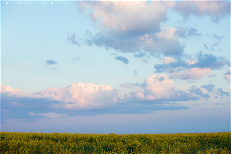 Пейзаж ◆ Landscape