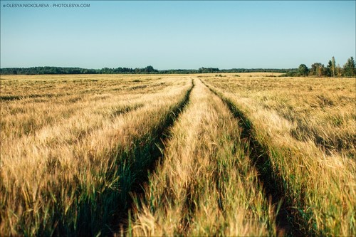 Пейзаж ◆ Landscape