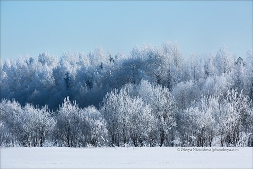 Пейзаж ◆ Landscape
