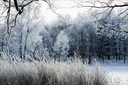 Пейзаж ◆ Landscape