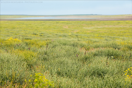 Пейзаж ◆ Landscape