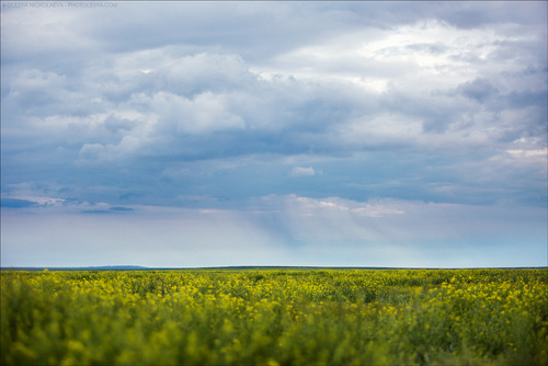 Пейзаж ◆ Landscape