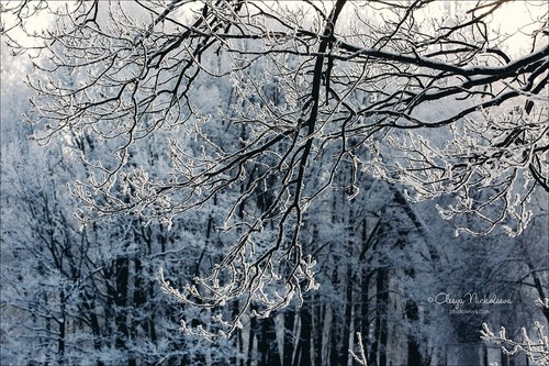 Пейзаж ◆ Landscape
