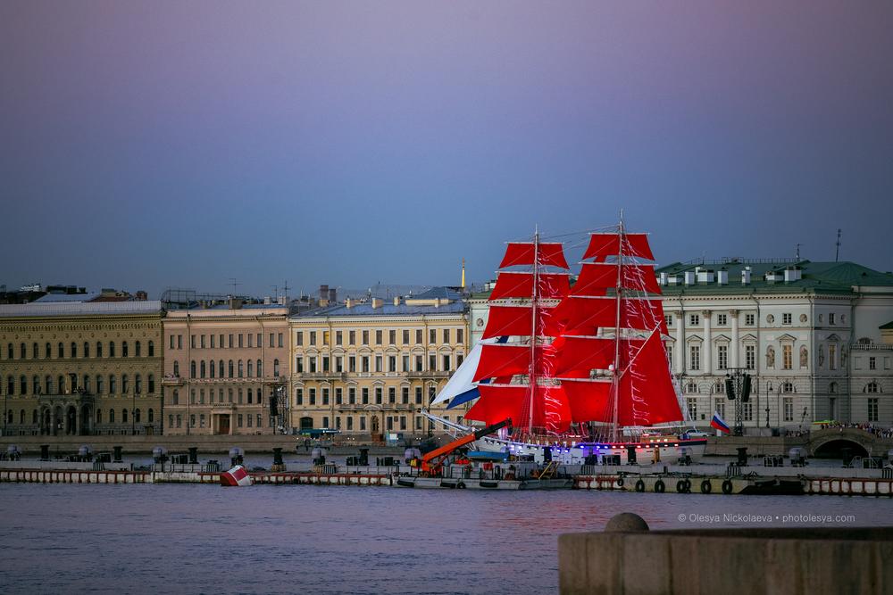  репортаж ◆ reportage 