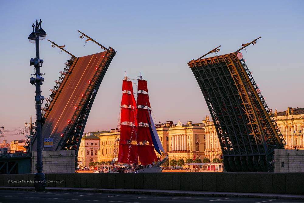  репортаж ◆ reportage 