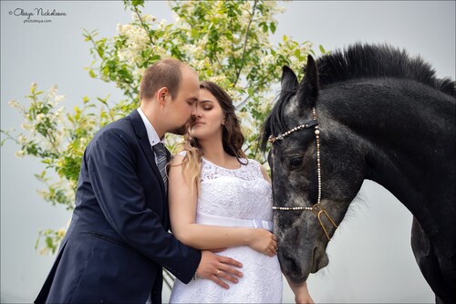 Елизавета+Александр