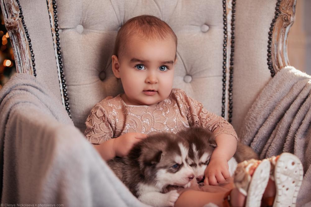 фотосессия с питомцем