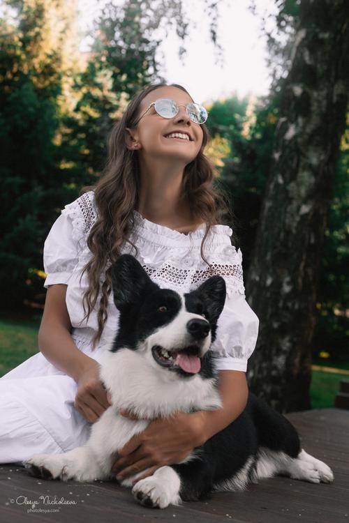 фотосессия с питомцем