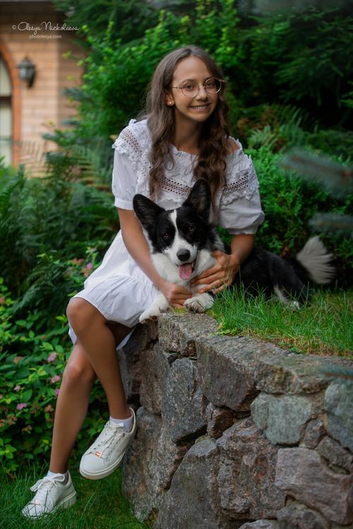 фотосессия с питомцем