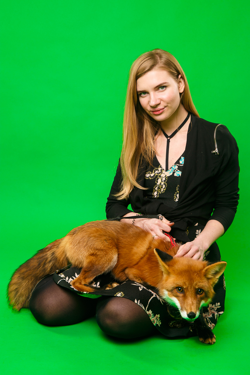 В Sky point studio с лисом и енотом