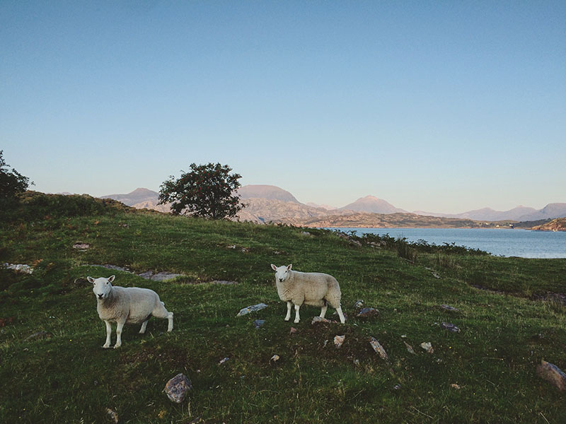 Scotland, Loch Torridon