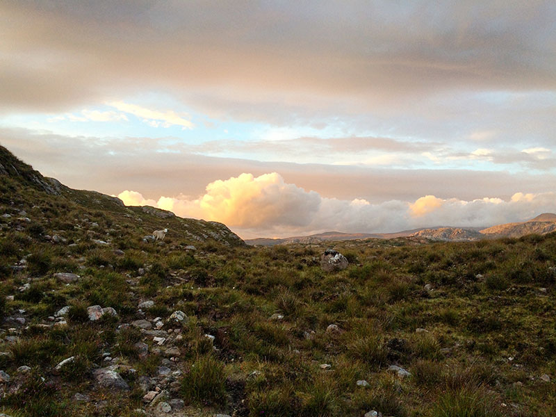 Scotland, Loch Torridon