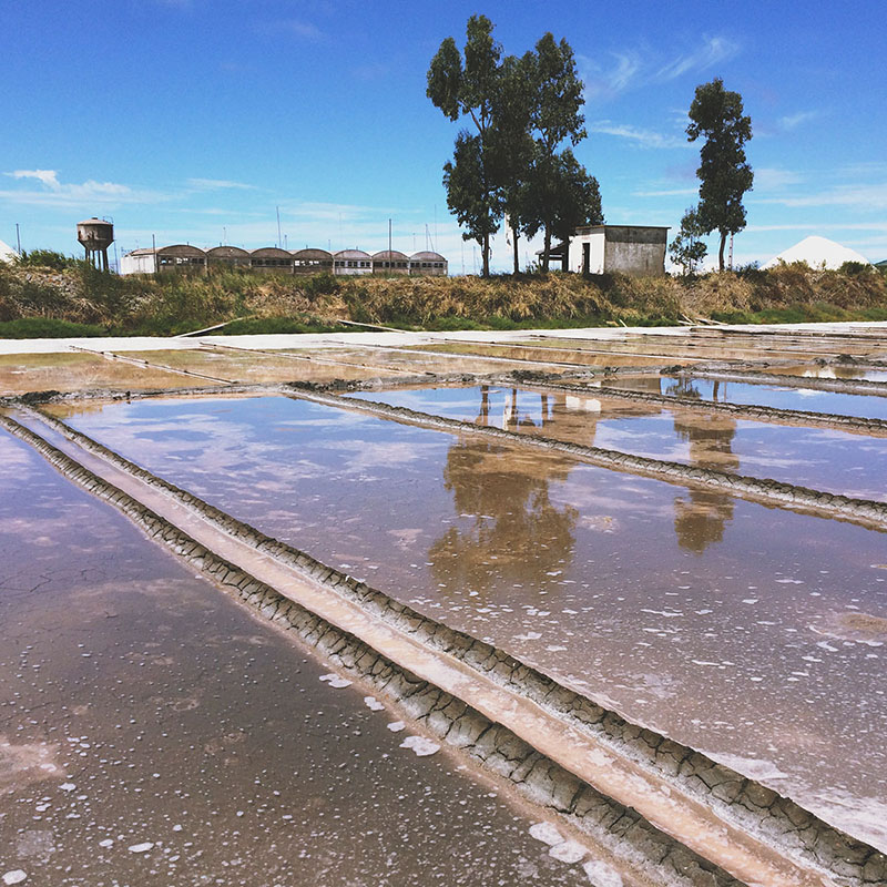Portugese Sea Salt Fields, Aveiro