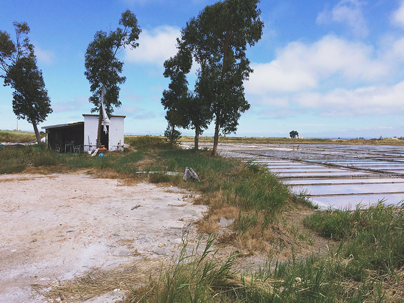 Portugese Sea Salt Fields, Aveiro