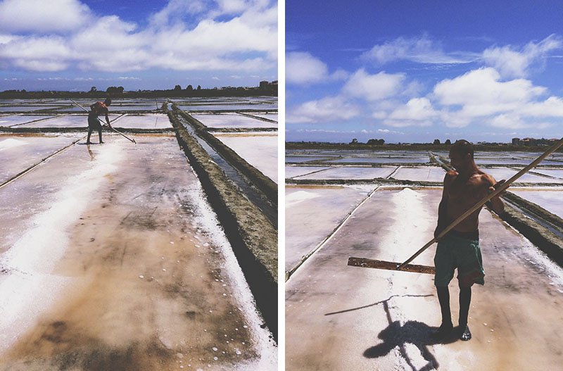 Portugese Sea Salt Fields, Aveiro
