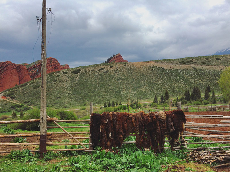 Kyrgyzstan