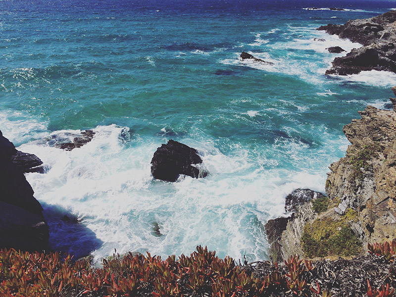 Portugese Ocean Teal