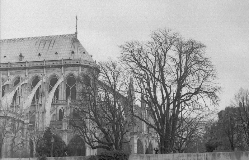 Paris in monochrome. 2008