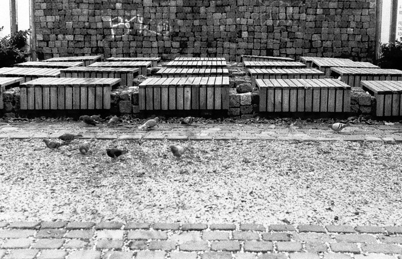 Budapest in monochrome