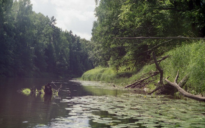 Russia. Kerzhenets river