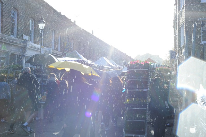 Columbia Road Flower Market
