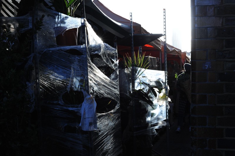 Columbia Road Flower Market