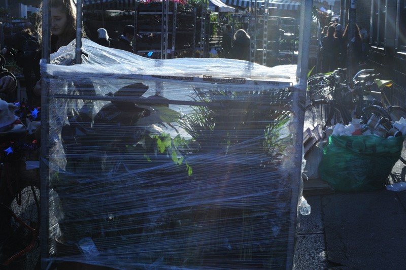 Columbia Road Flower Market