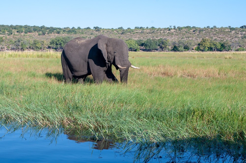 Africa