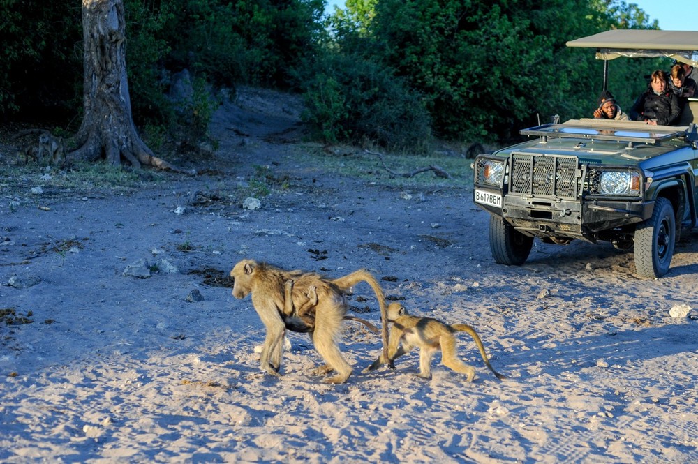 Africa