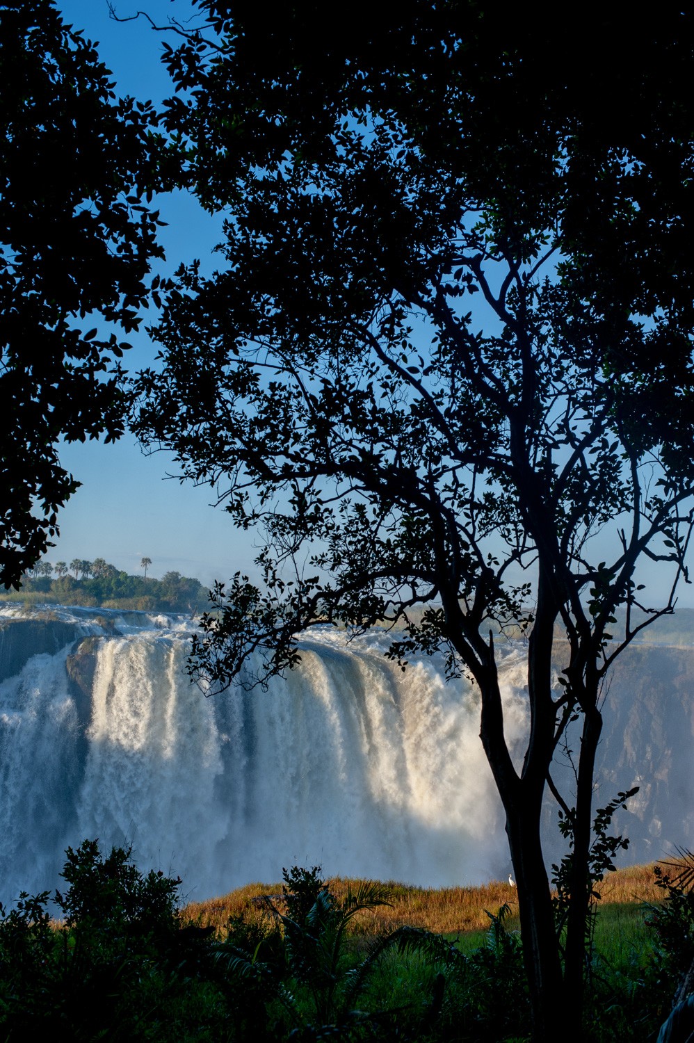 Africa