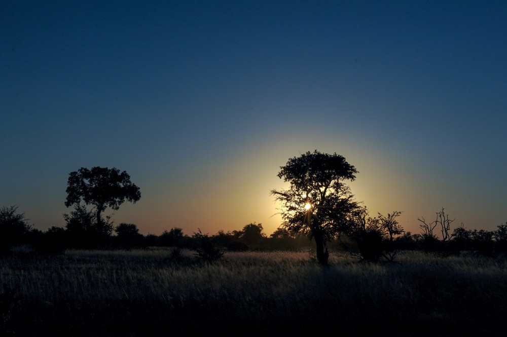 Africa