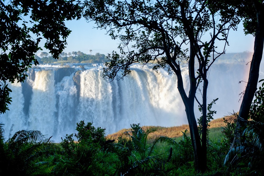 Africa
