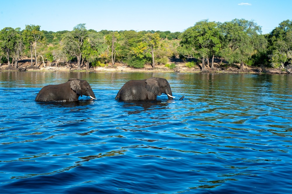 Africa