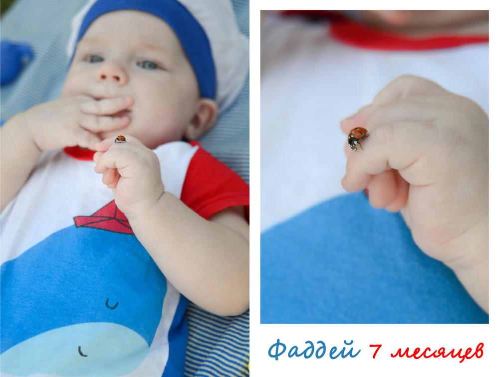 Семья и дети