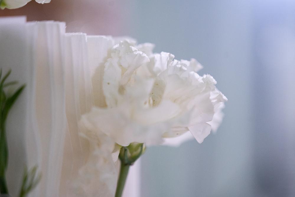 Тамара + Евгений