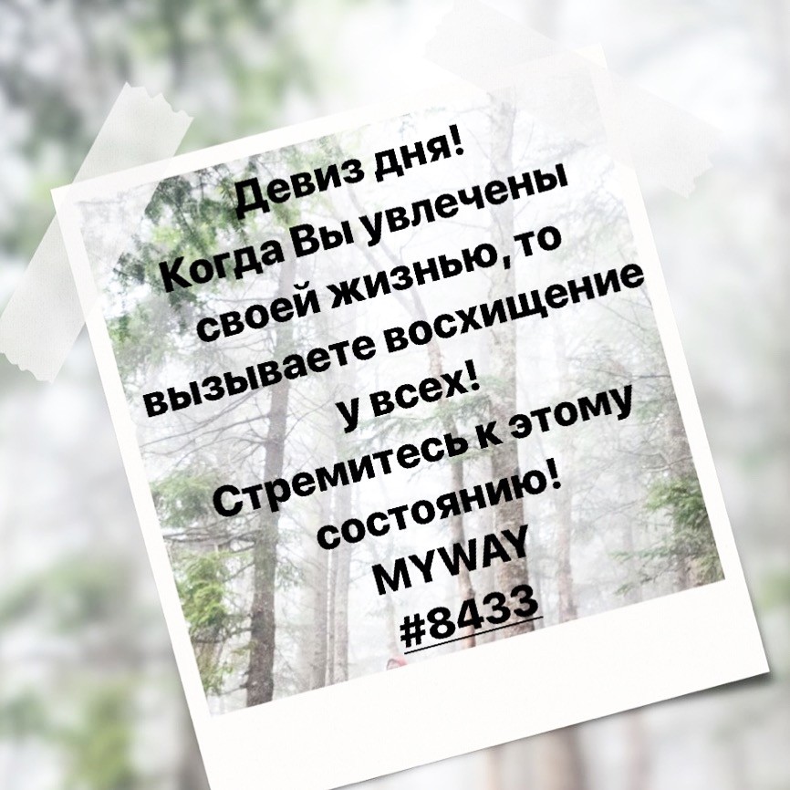 Порадоваться