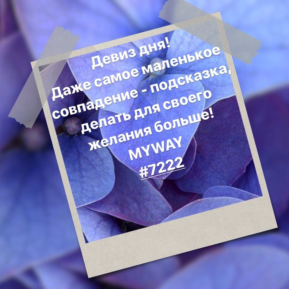 Порадоваться